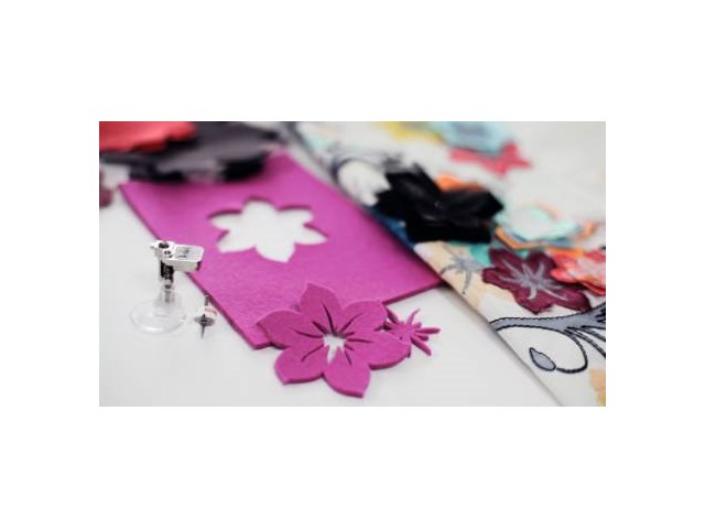Bernina DesignWorks Software Paket: CutWork